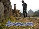 Machu-Picchu-022